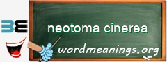 WordMeaning blackboard for neotoma cinerea